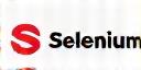 Selenium Logo